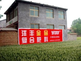 合江如何让墙体广告展现最大化效果