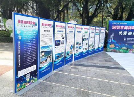 合江KT板的种类和知识。